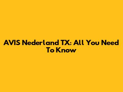AVIS Nederland TX: All You Need To Know