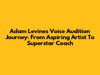 Adam Levine's Voice Audition Journey: From Aspiring Artist To Superstar Coach