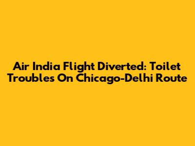Air India Flight Diverted: Toilet Troubles On Chicago-Delhi Route