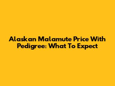 Alaskan Malamute Price With Pedigree: What To Expect