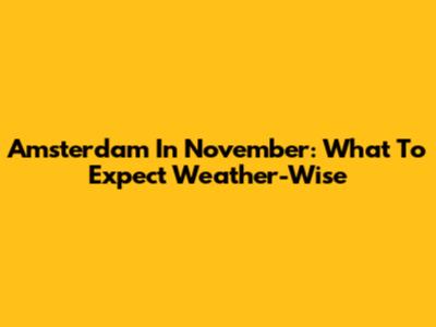 Amsterdam In November: What To Expect Weather-Wise