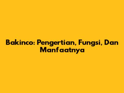 Bakinco: Pengertian, Fungsi, Dan Manfaatnya