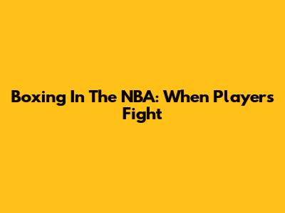 Boxing In The NBA: When Players Fight