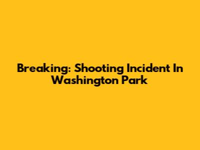 Breaking: Shooting Incident In Washington Park