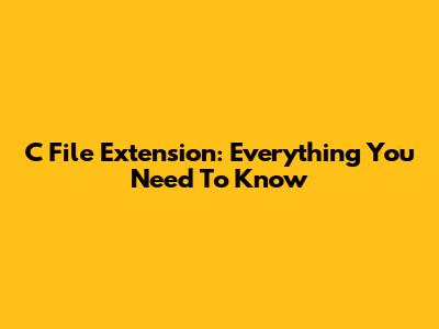 C File Extension: Everything You Need To Know