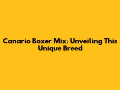 Canario Boxer Mix: Unveiling This Unique Breed