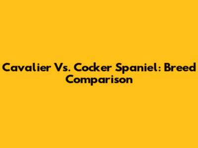 Cavalier Vs. Cocker Spaniel: Breed Comparison
