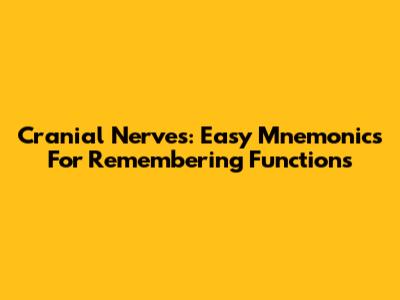 Cranial Nerves: Easy Mnemonics For Remembering Functions