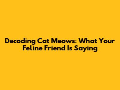 Decoding Cat Meows: What Your Feline Friend Is Saying