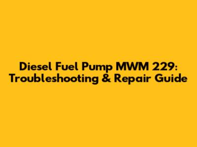 Diesel Fuel Pump MWM 229: Troubleshooting & Repair Guide