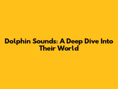 Dolphin Sounds: A Deep Dive Into Their World