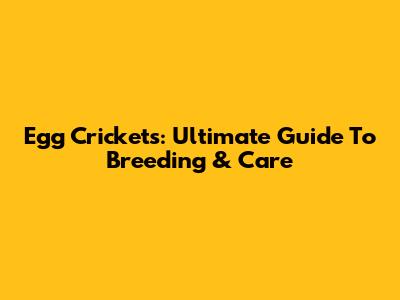 Egg Crickets: Ultimate Guide To Breeding & Care