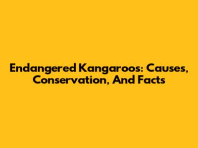 Endangered Kangaroos: Causes, Conservation, And Facts