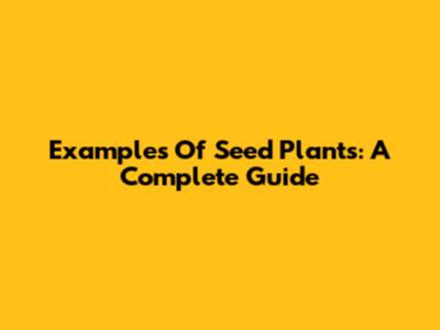 Examples Of Seed Plants: A Complete Guide