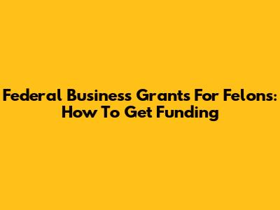 Federal Business Grants For Felons: How To Get Funding