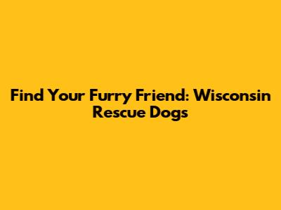 Find Your Furry Friend: Wisconsin Rescue Dogs