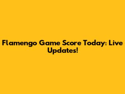 Flamengo Game Score Today: Live Updates!