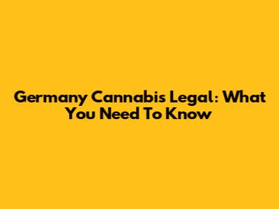 Germany Cannabis Legal: What You Need To Know