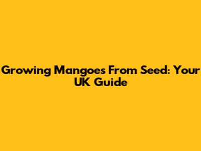 Growing Mangoes From Seed: Your UK Guide
