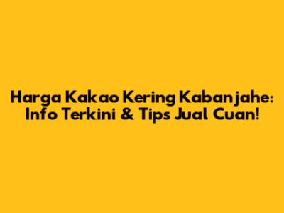 Harga Kakao Kering Kabanjahe: Info Terkini & Tips Jual Cuan!