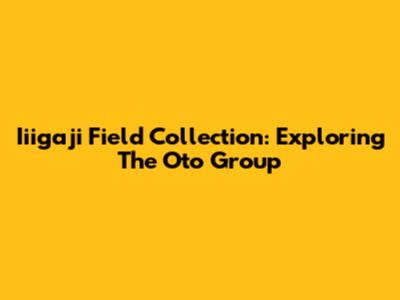 Iiigaji Field Collection: Exploring The Oto Group
