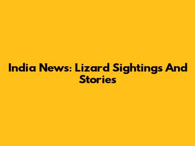 India News: Lizard Sightings And Stories