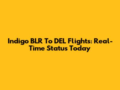 Indigo BLR To DEL Flights: Real-Time Status Today