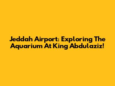 Jeddah Airport: Exploring The Aquarium At King Abdulaziz!