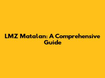 LMZ Matalan: A Comprehensive Guide