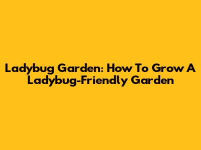 Ladybug Garden: How To Grow A Ladybug-Friendly Garden