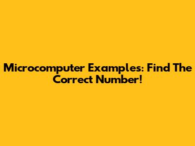 Microcomputer Examples: Find The Correct Number!