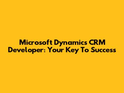 Microsoft Dynamics CRM Developer: Your Key To Success