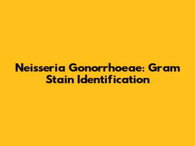 Neisseria Gonorrhoeae: Gram Stain Identification