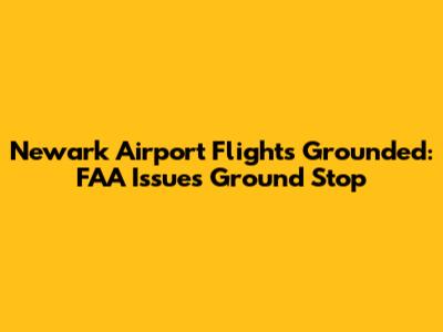 Newark Airport Flights Grounded: FAA Issues Ground Stop
