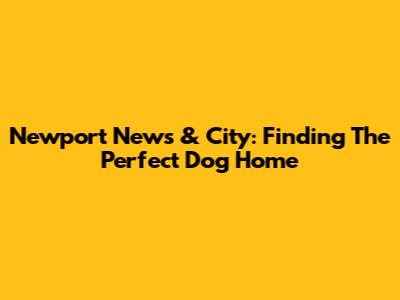 Newport News & City: Finding The Perfect Dog Home