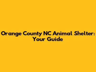 Orange County NC Animal Shelter: Your Guide