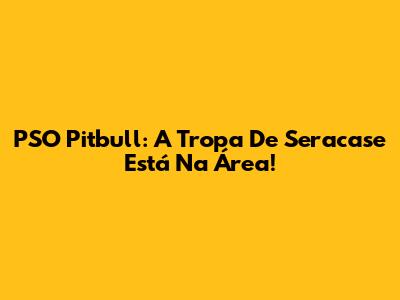 PSO Pitbull: A Tropa De Seracase Está Na Área!