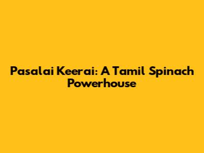 Pasalai Keerai: A Tamil Spinach Powerhouse