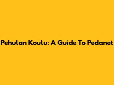 Pehulan Koulu: A Guide To Pedanet