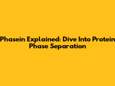 Phasein Explained: Dive Into Protein Phase Separation