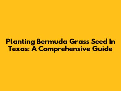 Planting Bermuda Grass Seed In Texas: A Comprehensive Guide