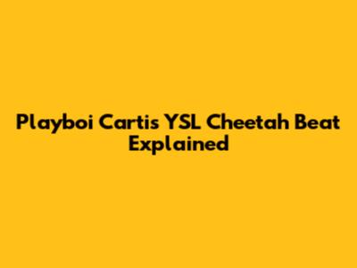 Playboi Carti's YSL Cheetah Beat Explained