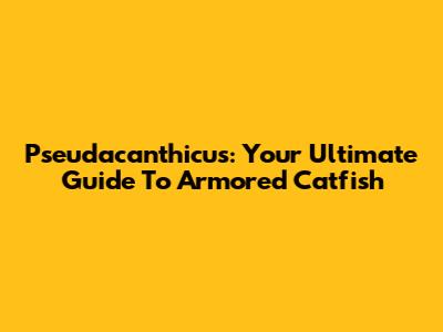 Pseudacanthicus: Your Ultimate Guide To Armored Catfish