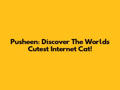 Pusheen: Discover The World's Cutest Internet Cat!