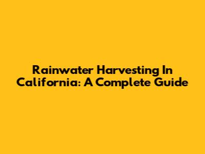 Rainwater Harvesting In California: A Complete Guide