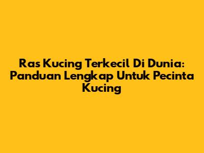 Ras Kucing Terkecil Di Dunia: Panduan Lengkap Untuk Pecinta Kucing