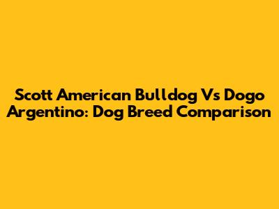 Scott American Bulldog Vs Dogo Argentino: Dog Breed Comparison