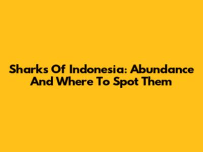 Sharks Of Indonesia: Abundance And Where To Spot Them