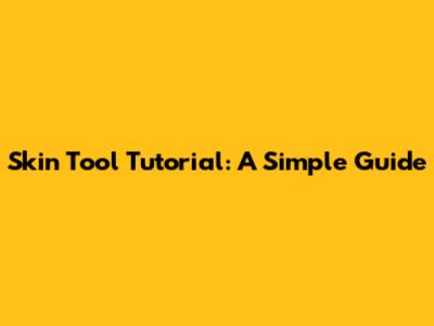 Skin Tool Tutorial: A Simple Guide