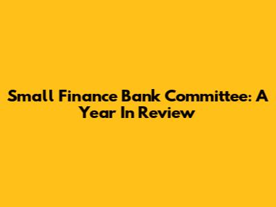 Small Finance Bank Committee: A Year In Review
